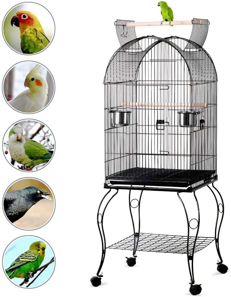 mangiatoia per pappagalli per gabbie per uccelli