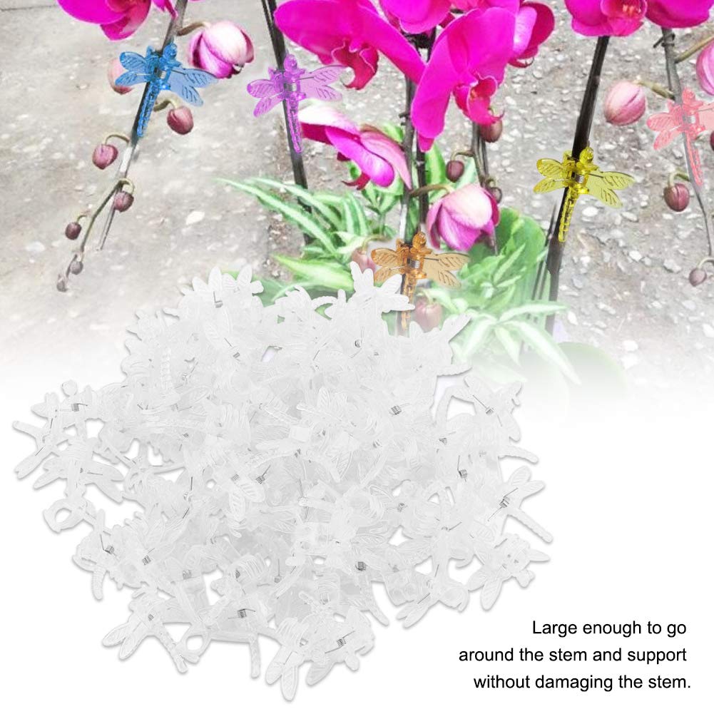 Lot De 100 Clips Pour Plantes – Forme Libellule, Plastique Transparent – Maintien Tiges Orchidées, Tomates, Concombres