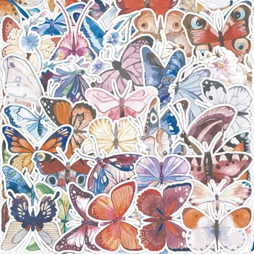 50Zbg o^tC J[gD fUC XebJ[ 킢 Aj  h gfB   AEghA DIY Xm[{[h X[cP[X M^[  oCN ]  wbg p\R g m[g