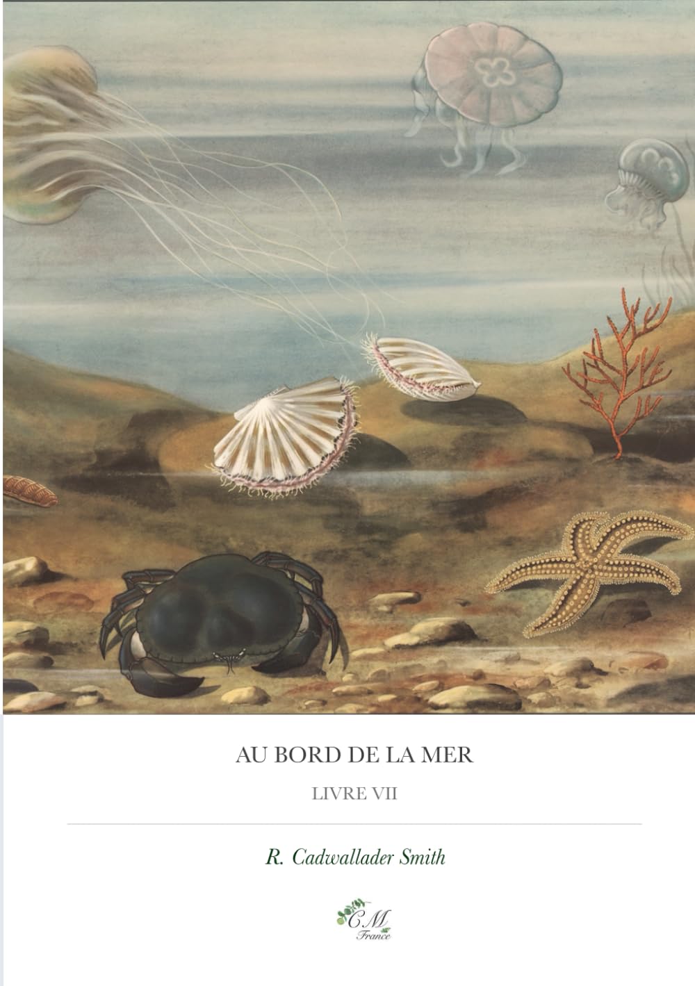 Au bord de la mer