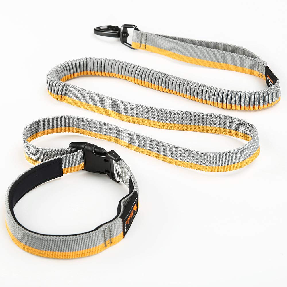 Laisse de chien de corde traction courante YUNLIN avec ceinture