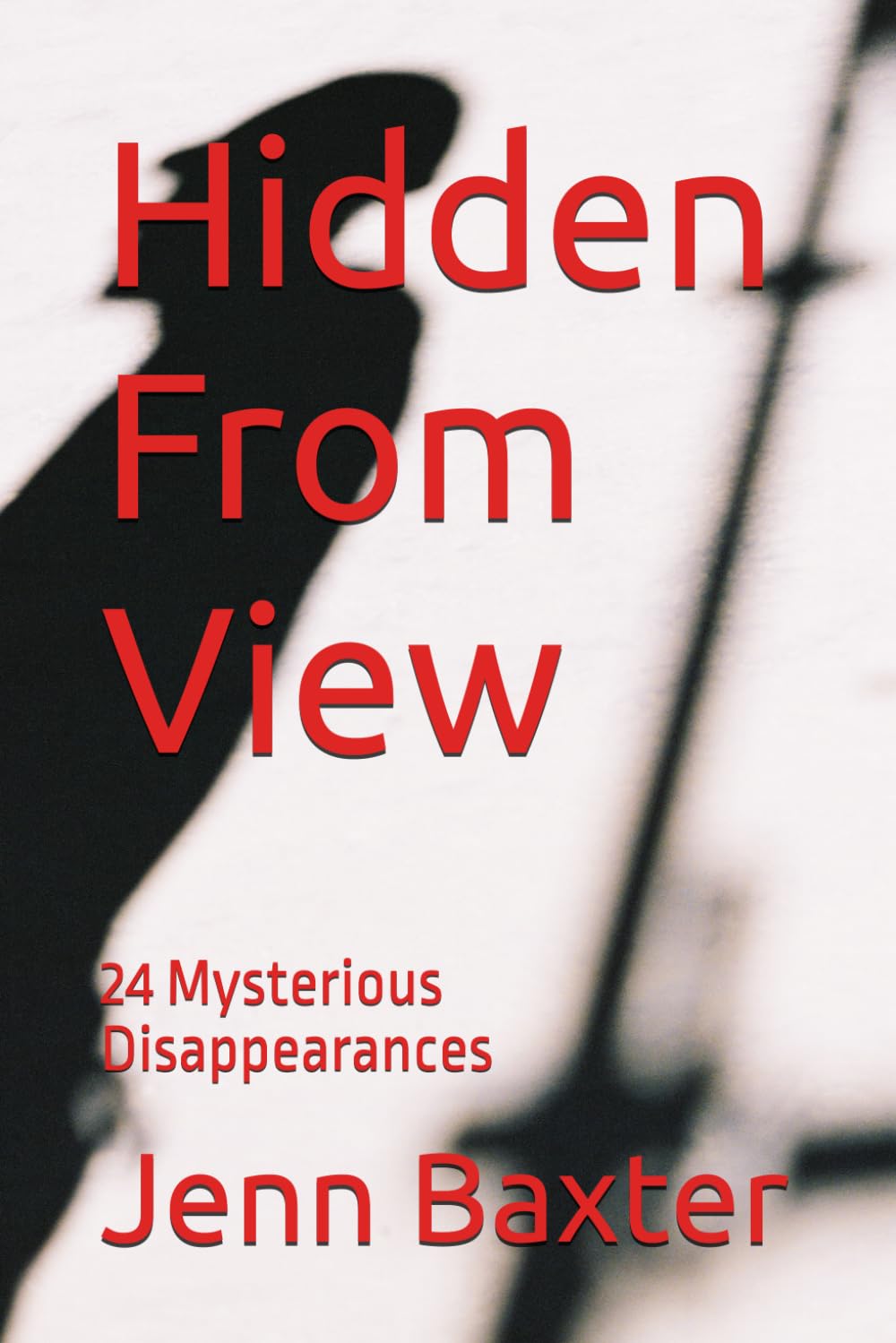 Hidden From View: 24 Mysterious Disappearances (Missing Person Cases From Across America)