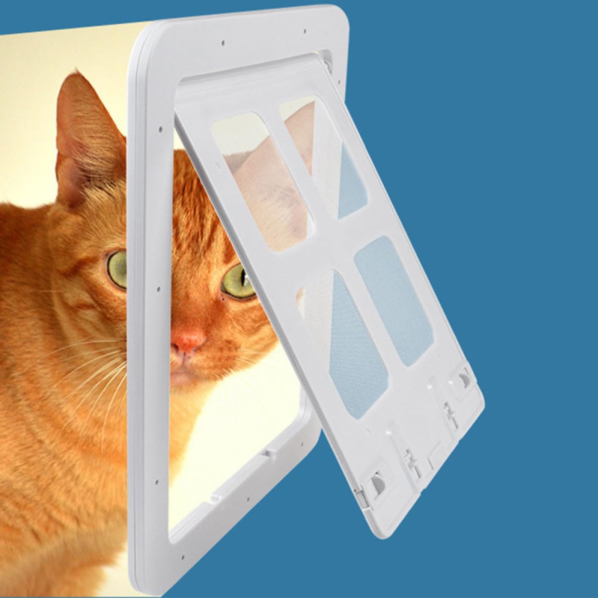 Porte pour Animaux à Rabat pour Chien et Chat, Maille Écran Blanche | PC Nylon, Circulation D’air et Perméabilité, Format pour Animaux, Design Moustiquaire