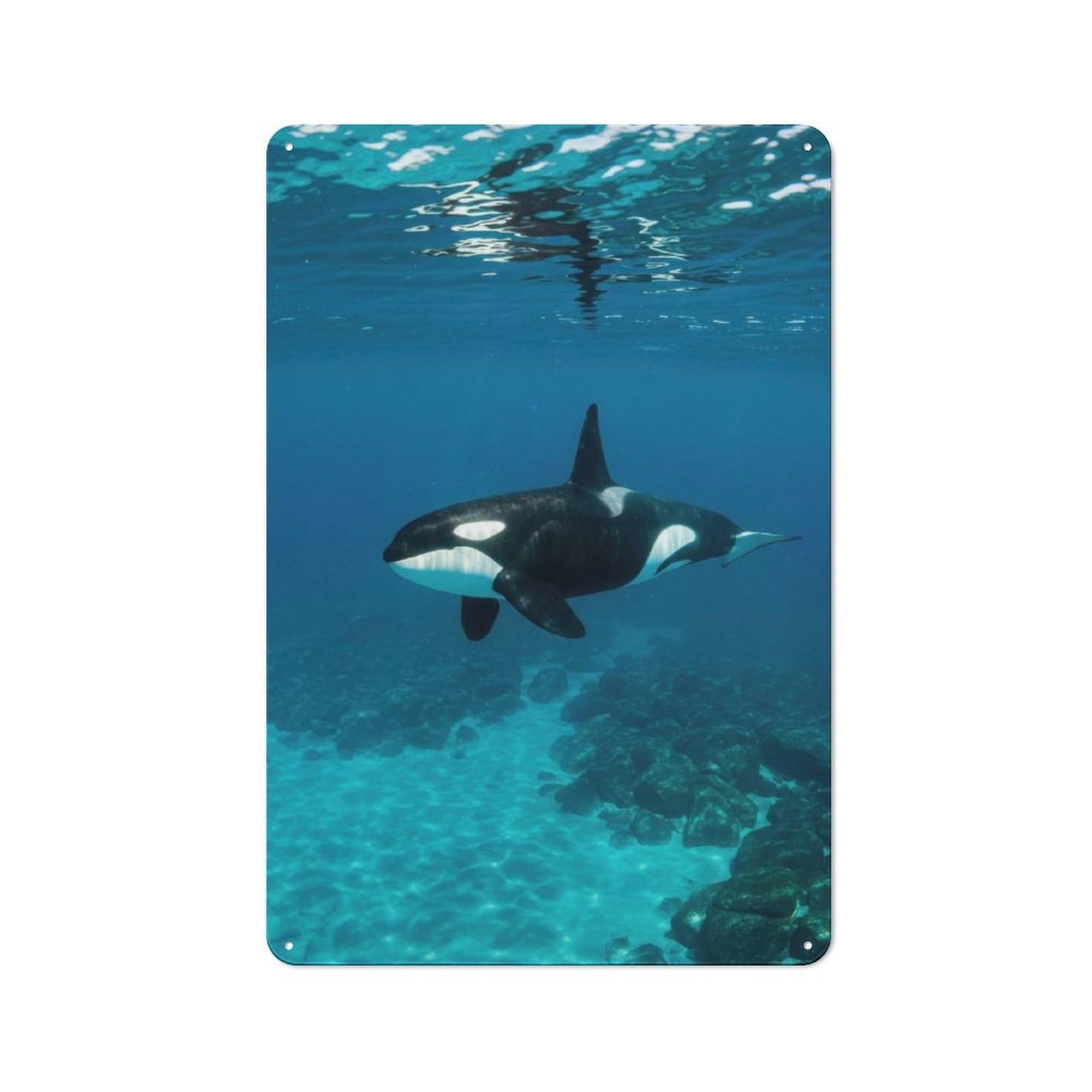 Junmoney Orca Underwater Rustic Tin Sign 30X20cm, Shed Style Utility Space Decor For Patio Bar, Workshop, Shed Or Kitchen
