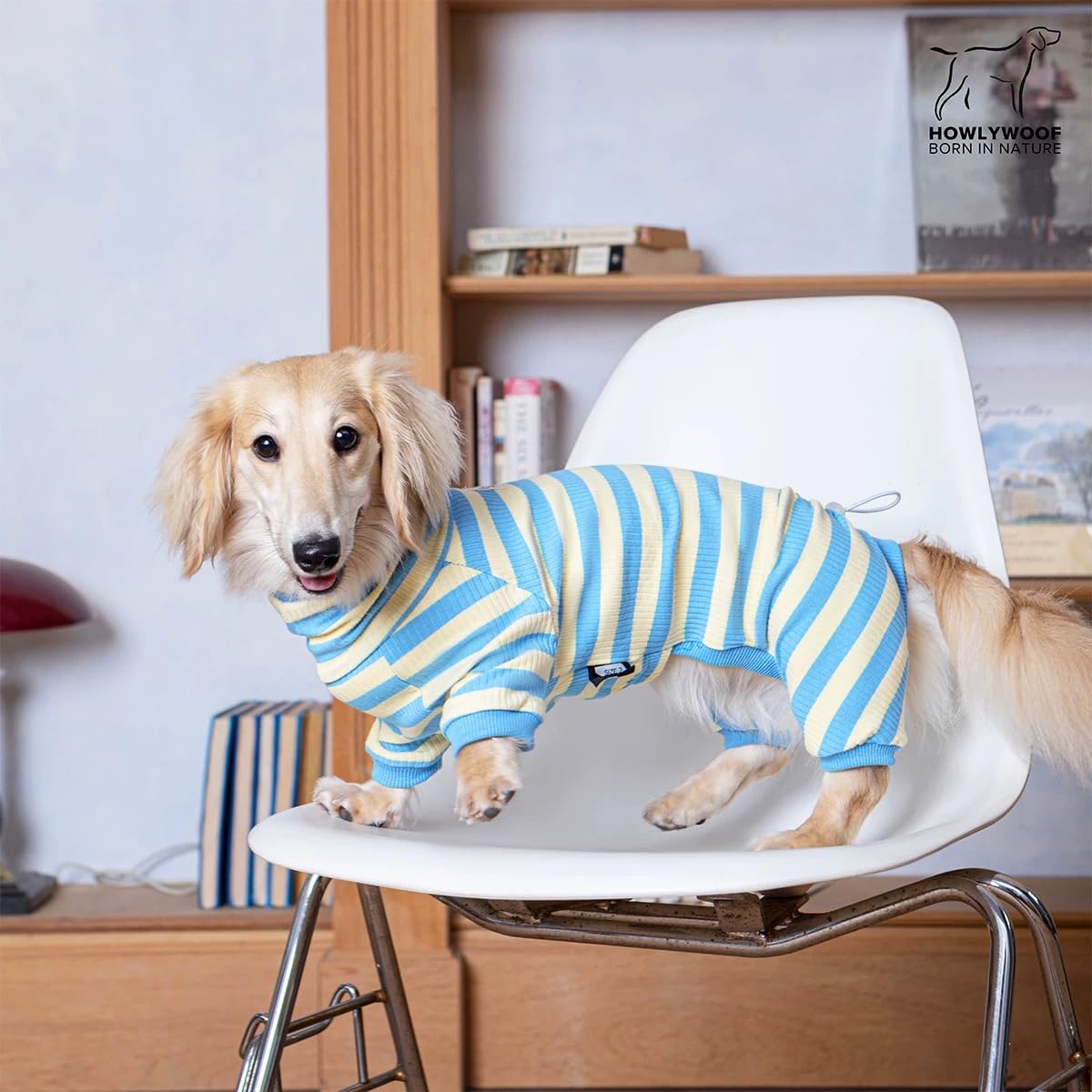 Dackel-Hunde-Shirt, dünn gestreift, Einteiler für Wiener-Hunde, leicht, für alle Jahreszeiten, weiche und bequeme Passform für Doxie- und Kurzbeinrassen, Blau und Gelb, Größe 3 (7,3–9,5 kg))