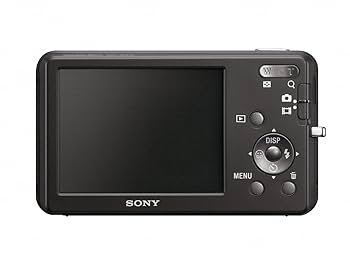 108 Cyber-shot　dsc w80とdsc w170 61xFhrkedHL._UF350,350_QL80_.jpg