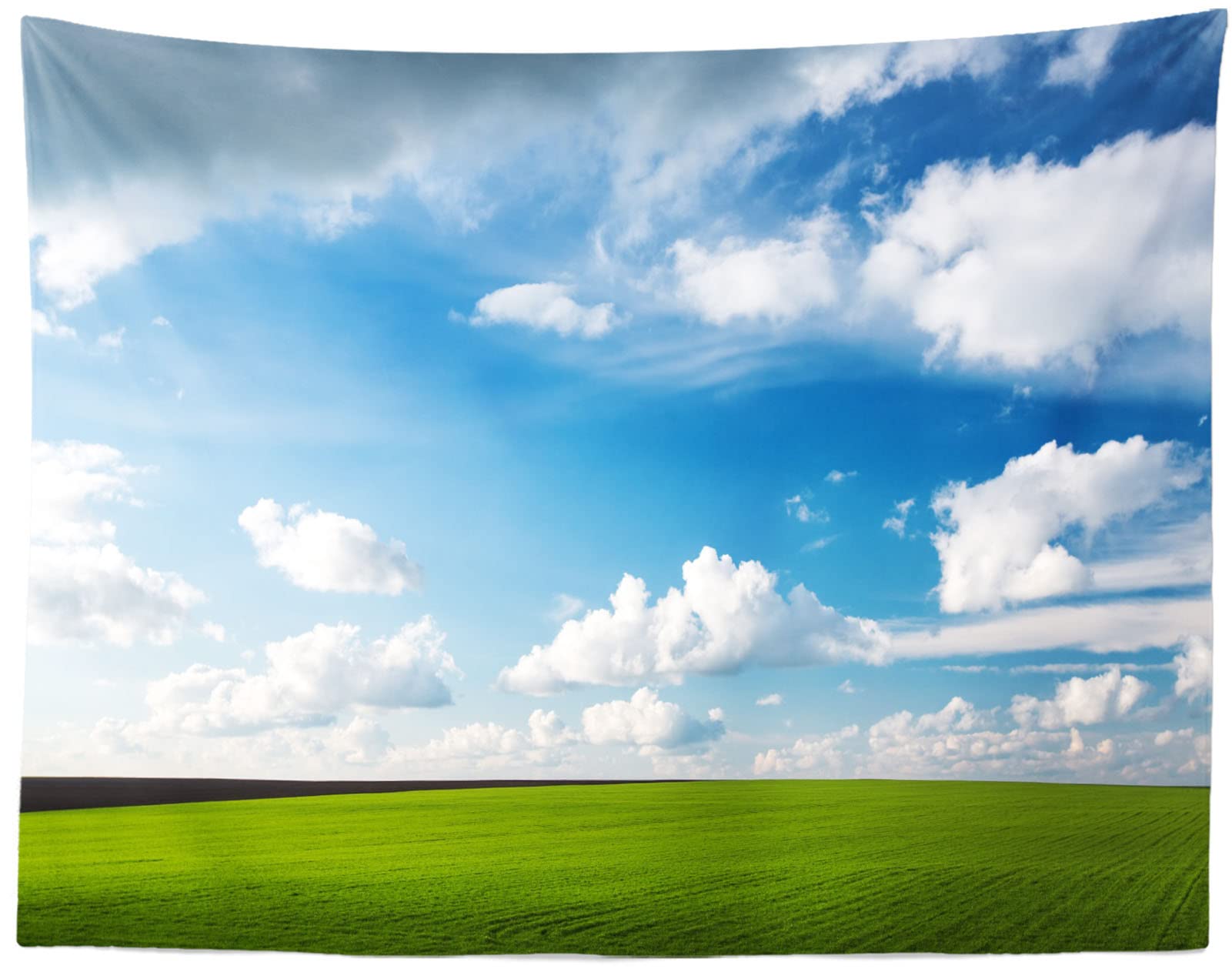 Grass Backdrop CORFOTO 8x6ft Green Grass Field Backdrop - Spring Sky ...