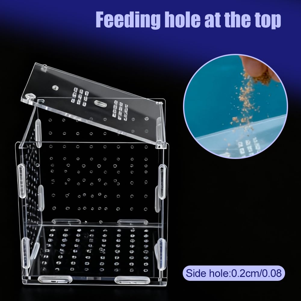 Caja de cría de peces, contenedor acrílico de aislamiento de peces, incubadora de acuarios con fijación magnética para peces y camarones
