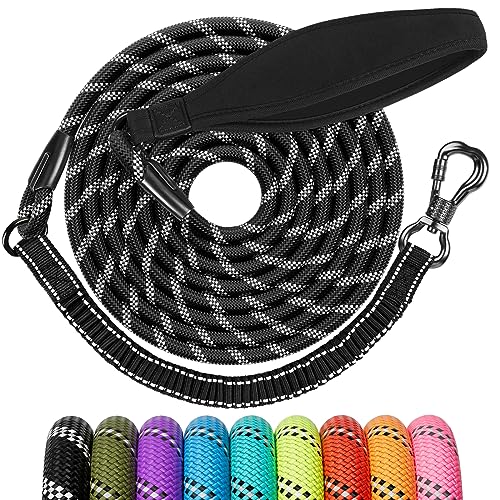 Ntr 8Ft Training Leash For Dog, Nylon Black Rope Leash With Swivel Lockable Hook And Comfortable Handle, Bungee Leash For Small Medium Large Dog Training, Playing, Camping, Or Backyard #TOP26