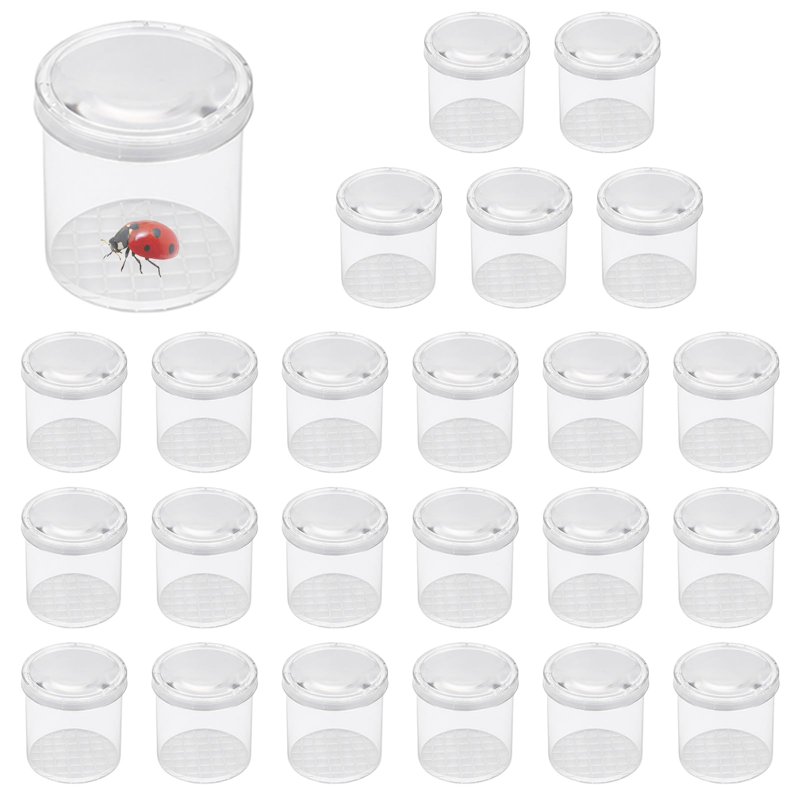 24Pcs Magnifying Insect Viewer Box, Bug Hunting Kit with 3X Magnifier
