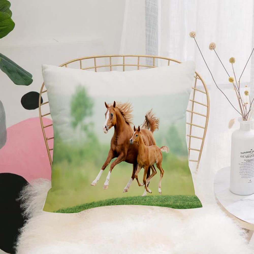 HYOSXW Cushion Cover,Throw Pillow Case Home Decorative for Living Room Bedroom Sofa Chair 16X16 Inch,Horse race horse chestnut mare and foal in ow picturesque summer day,Pillowcase 40X40cm