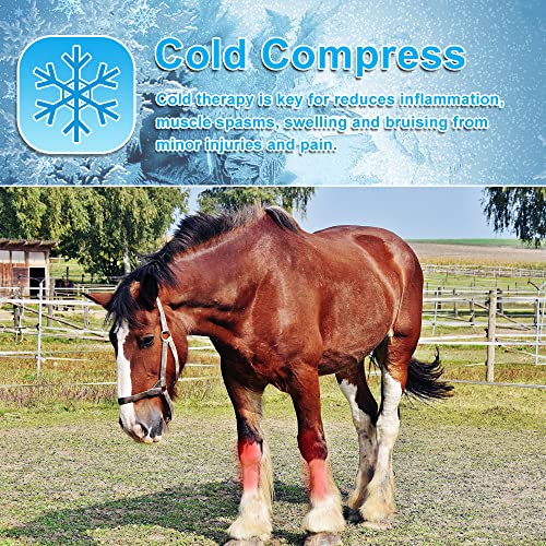 Set Of 2 Ice Boots For Horses Leg Injuries Cooling Muscle Pain Hock Boot Cold Pack Wraps For Knee, Legs, Ankle, And Hooves, Flexible Cold Therapy Pad Horse Gel Ice Pack 16.9'' X 16.1'',Black-Green #TOP3