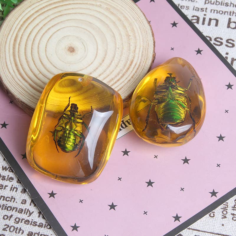 Image of Ximimark 2 PCS Amber Beetle 2 PCS Amber Beetle Fossil Natural True Insect Specimens Manual PolishingFossil Natural True Insect Specimens Manual Polishing