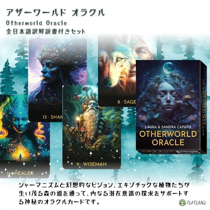 Amazon.co.jp: 【日本語解説書付き】 アザーワールド オラクル