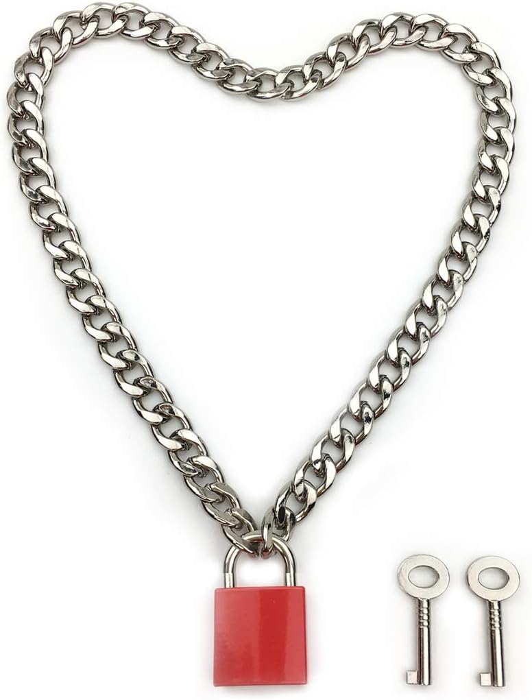 Succuba Padlock Necklace Chain Collar Choker with Two Keys and Box for Women, Men and Pet