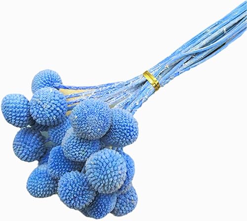 Ramo de flores secas naturales de 16 pulgadas, ramo de flores secas de 16 pulgadas, ramo de flores secas para jarrones bohemios para decoración de