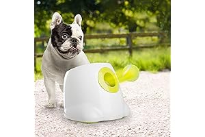 ALL FOR PAWS Automatic Ball Launcher for Small to Medium Dogs