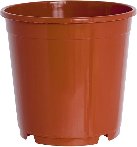 geli Thermo Plastic Containertopf, Kunststoff, mit Ablauflöchern.