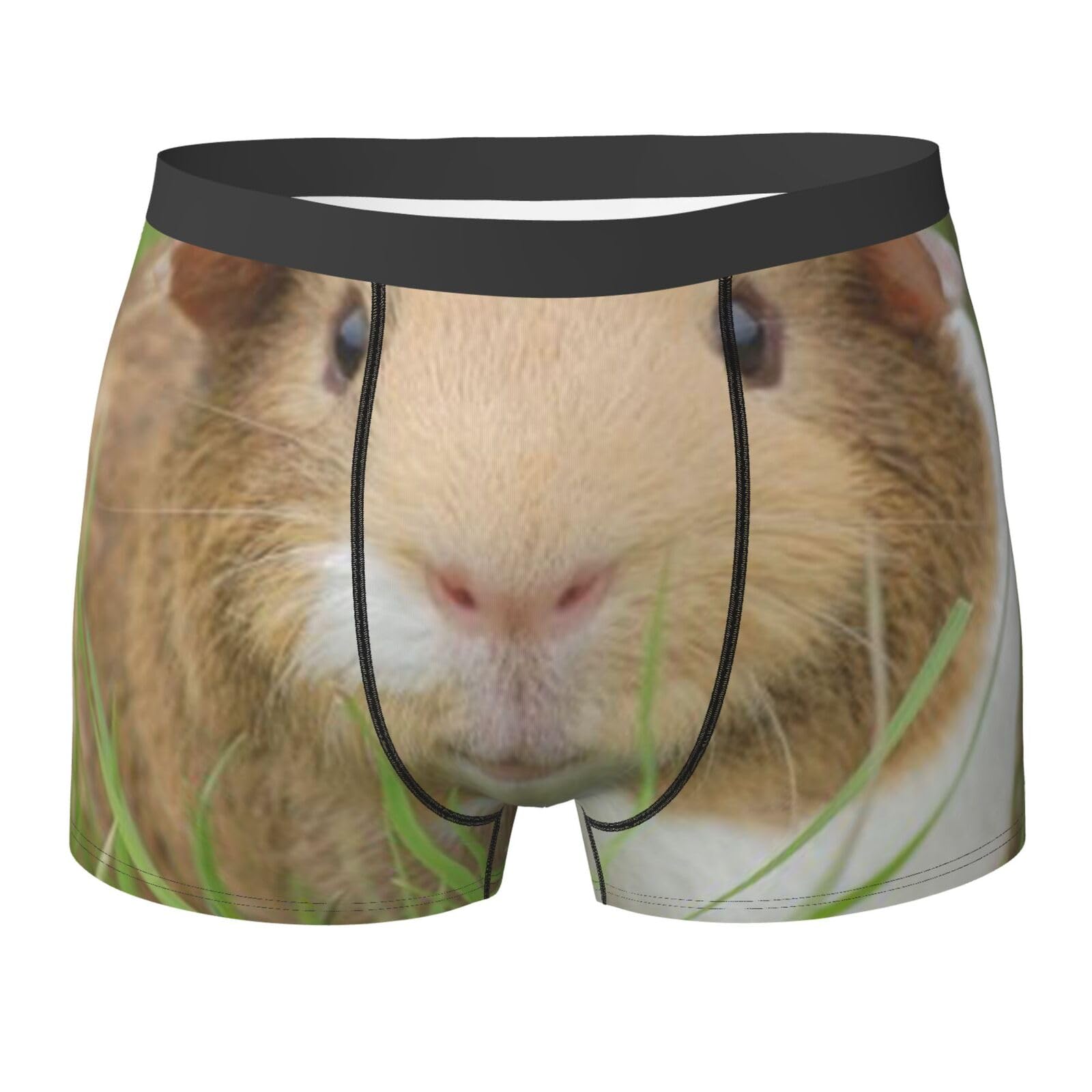 VAGILO Guinea Pig Men'S Boxer Briefs – Breathable, Lightweight, And Comfortable Male Underwear – Durable And Stretchable Boxer Shorts With Elastic Waistband