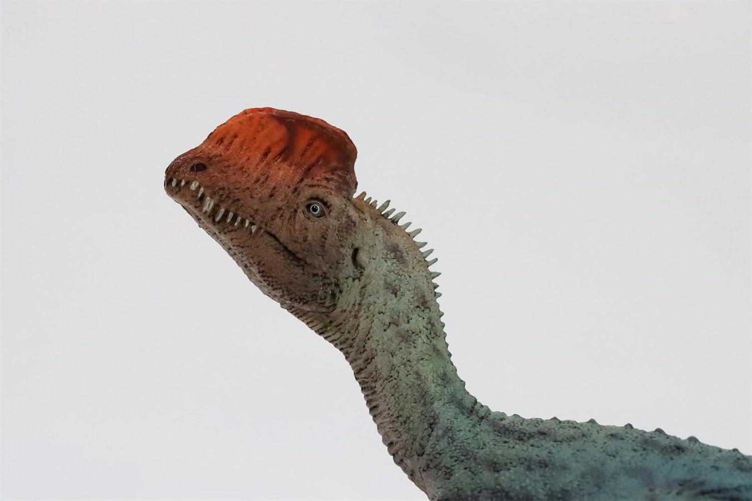 HLG 1:35 Scale Dilophosaurus Pair Model Diplosauridae Carnivorous Dinosaurs PVC Animal Figure Collection Realistic Decoration Gift for Adult (Blue)