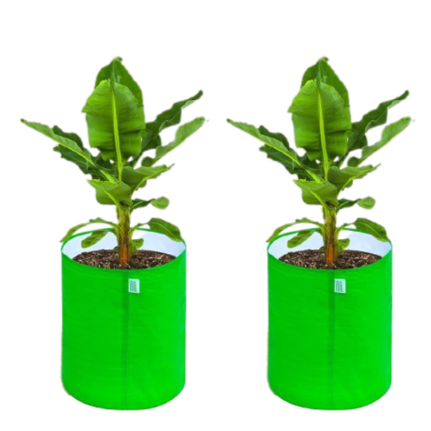 See full amazon price history chart for ANANDI GREENS HDPE Uv Protected 260 GSM Round Green Colour Plants Grow Bags Suitable for Terrace and Vegetable Gardening Size 18x24 Pack of 2 ANANDI GREENS HDPE Uv Protected 260 GSM Round Green Colour Plants Grow Bags Suitable for Terrace and Vegetable Gardening Size 18x24 Pack of 2 (B0CDBXMPVD) Amazon Price History, Amazon Price Tracker