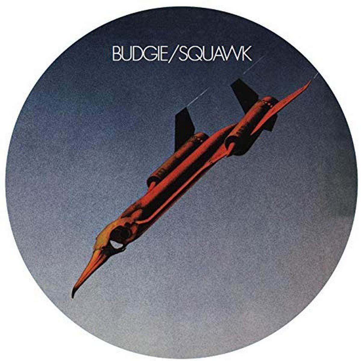 Squawk Picture Disc