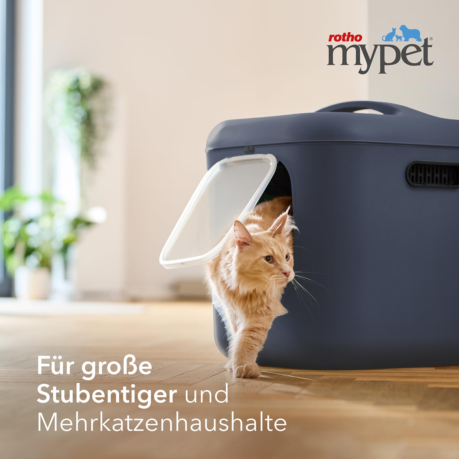 Rotho MyPet BEA XXL - Caja de Arena para Gatos con Capucha y Pala (Polipropileno Reciclado) (Azul)