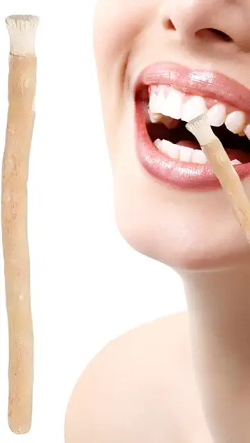 Natural Miswak Sticks for Teeth - 20cm Organic Wooden Toothbrush for Daily Oral Care