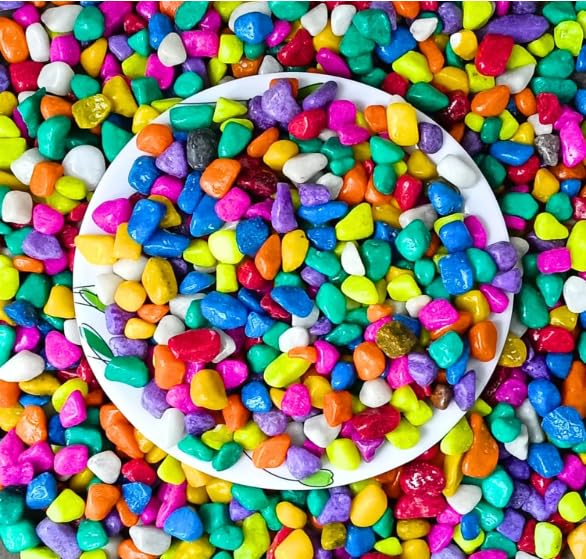 Plants World 2 Kg Multi-Color Pebbles for Decoration - Pebbles for Plants Pots, Fish Tank Aquarium, Table, Vase Fillers-image-13