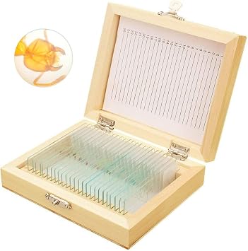 Prepared Microscope Slides with Specimens for Kids, 25 PCS Microscope Sample Slides Science Kit Set with Fitted Wooden Case for Basic Biological Education