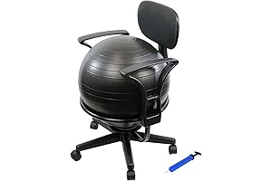CanDo Ball Chair for Back Support