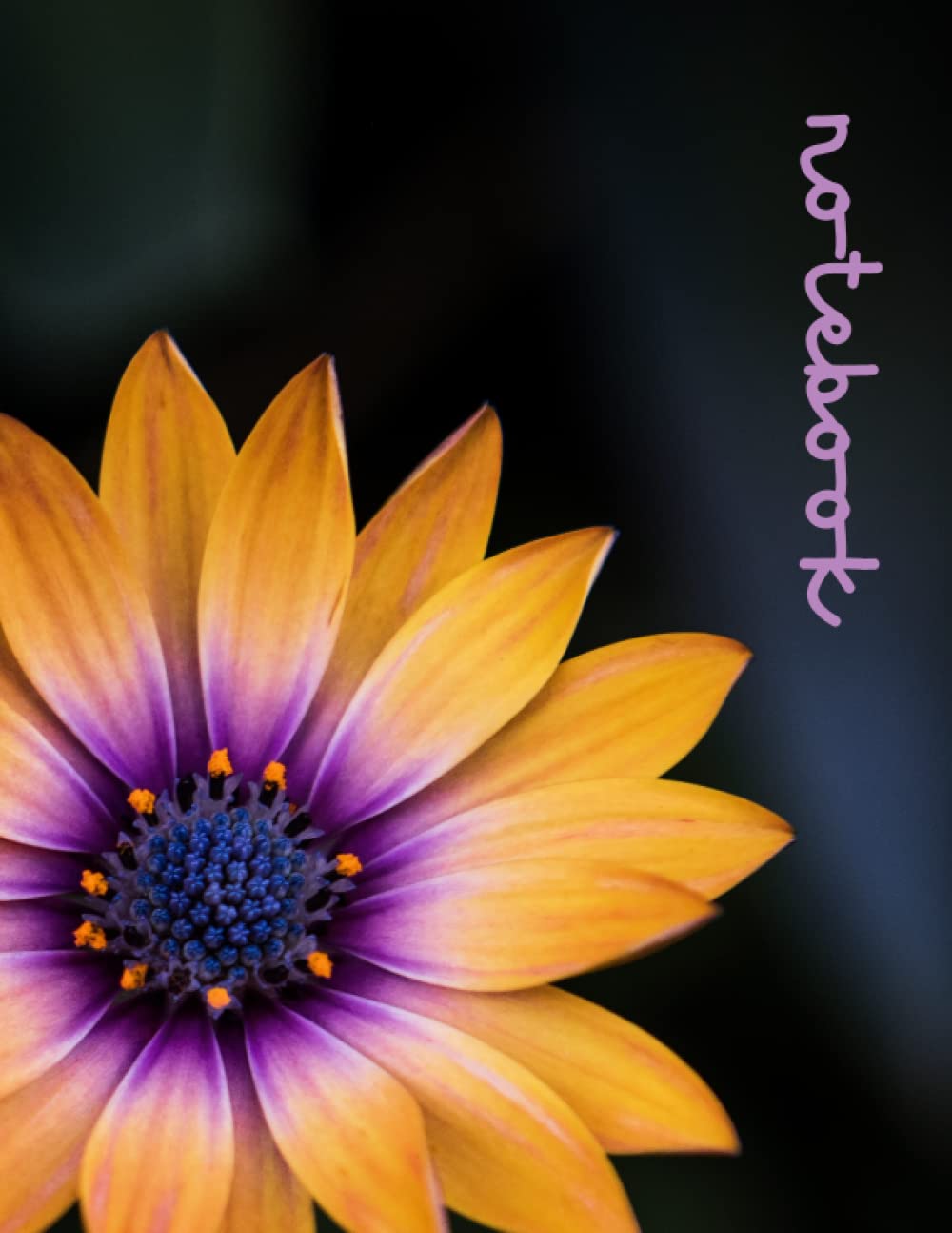 Yellow and Purple Flower Notebook: For School, Work or Home - 120 Lined Pages - 8.5" x 11"