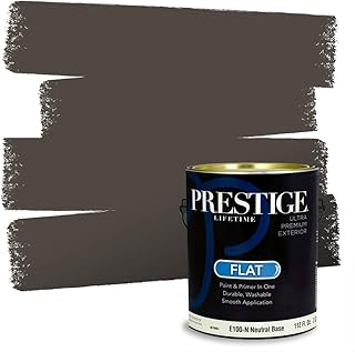 E100-N-SW7020 Exterior Paint and Primer in One, 1-Gallon, Flat, Comparable Match of Sherwin Williams Black Fox, 1 Gallon, SW255-Black