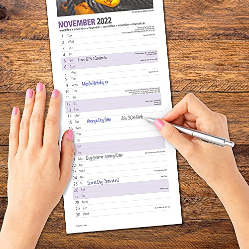 Magnet & Steel,Cavia Slim 2022 Kalender - Image 7