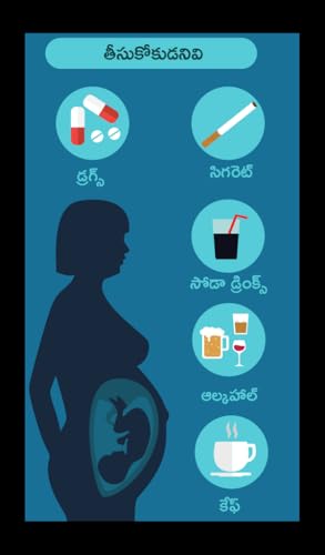 Pregnancy Care Book in Telugu