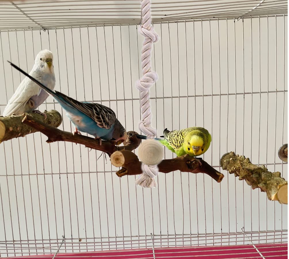 Corda Da Arrampicata Con Nodi Per Pappagalli - Cotone Naturale, 100 Cm - Foto 2