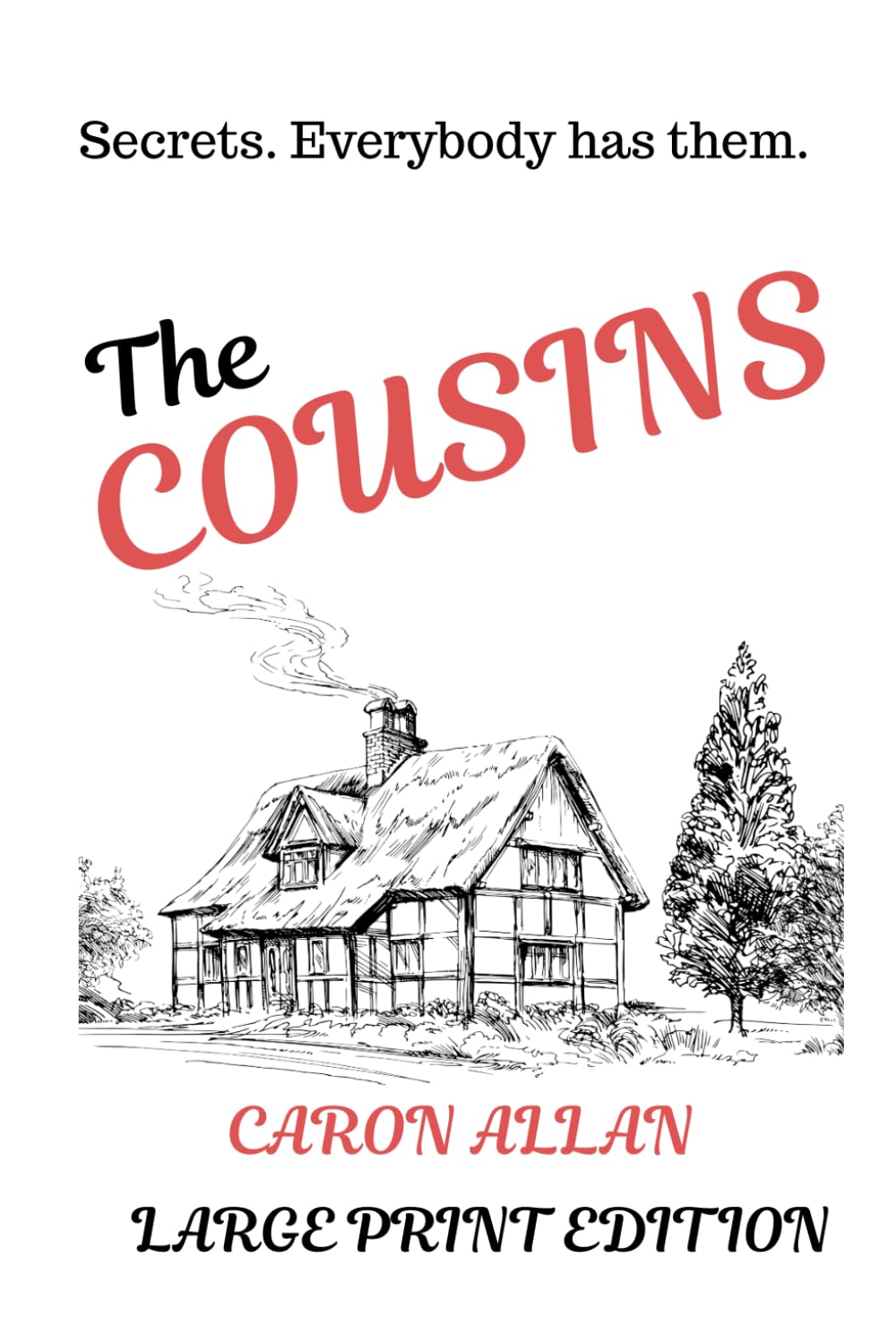 The Cousins: Secrets. Everybody Has Them. Large print edition