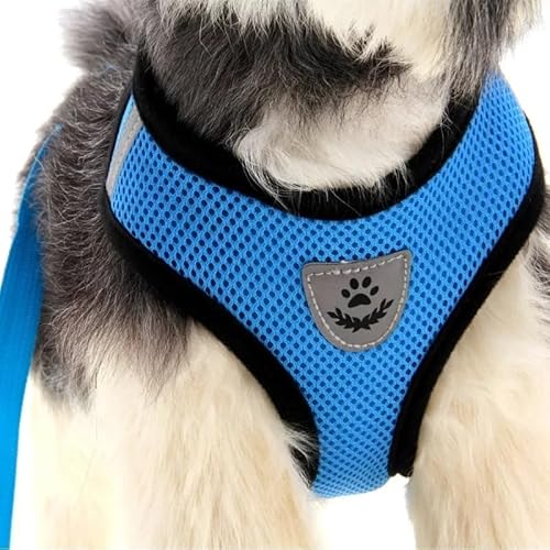 Peitoral Anti Puxão com Guia para Cães e Gatos, Tamanho M, Ideal para Filhotes e Raças Pequenas (Azu