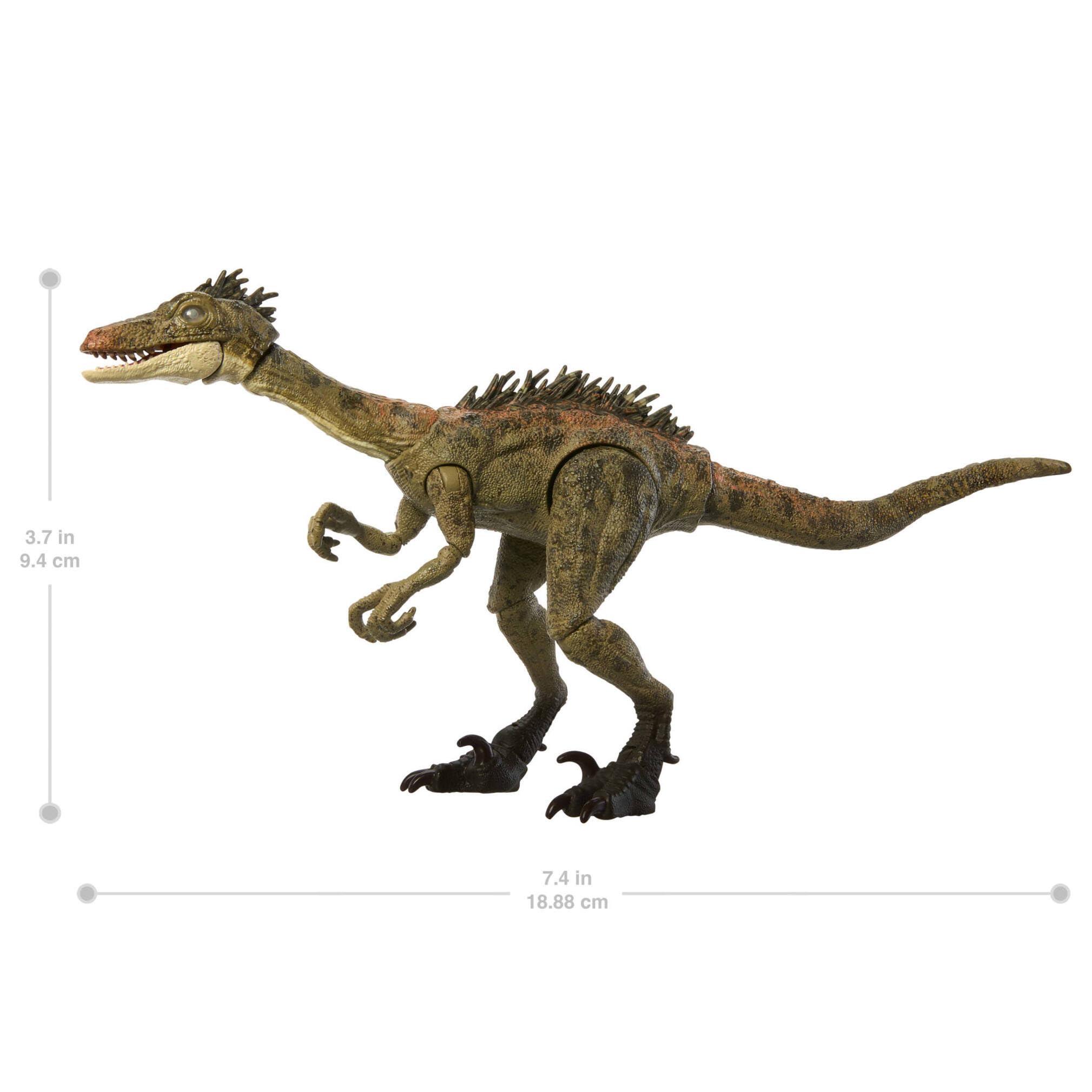 Mattel Jurassic World Hammond Collection, Especie Troodon, Dinosaurio de Juguete, 14 articulaciones, JDJ11