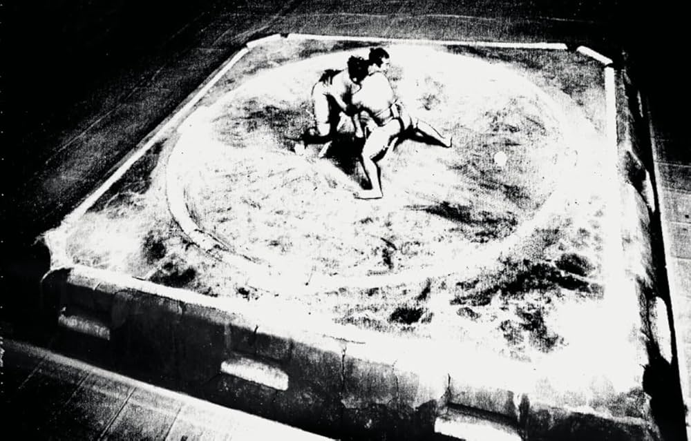 Amazon.com: Tomasz Gudzowaty: Sumo: 9783775751957: Gudzowaty