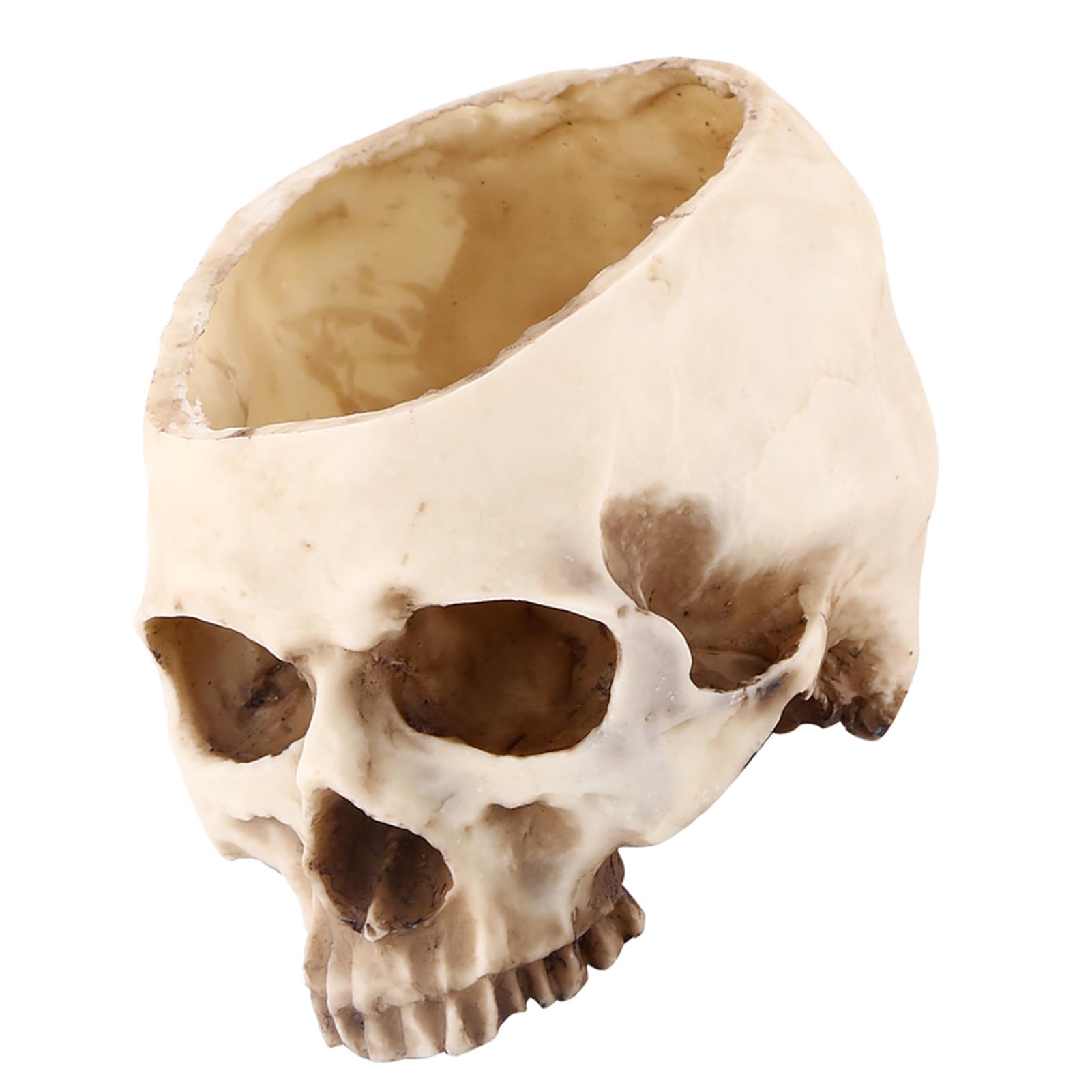 ZAWELIYO Skull Flower Pot Container, Big Size Resin Planter for Flowers and Plants, for Bar Decor, Halloween Party Ornament