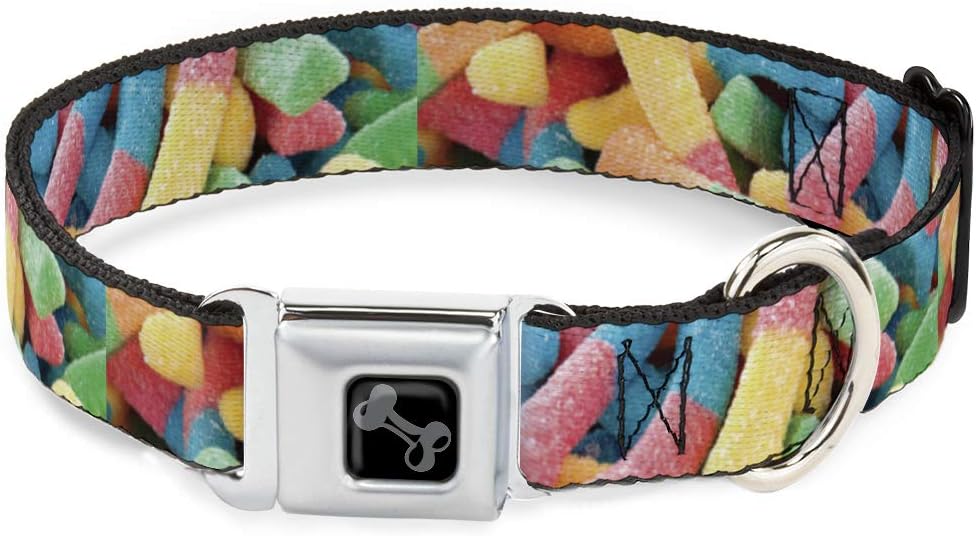 Dog Collar Seatbelt Buckle Vivid Sour Worms Stacked 11 to 17 Inches 1.0 Inch Wide