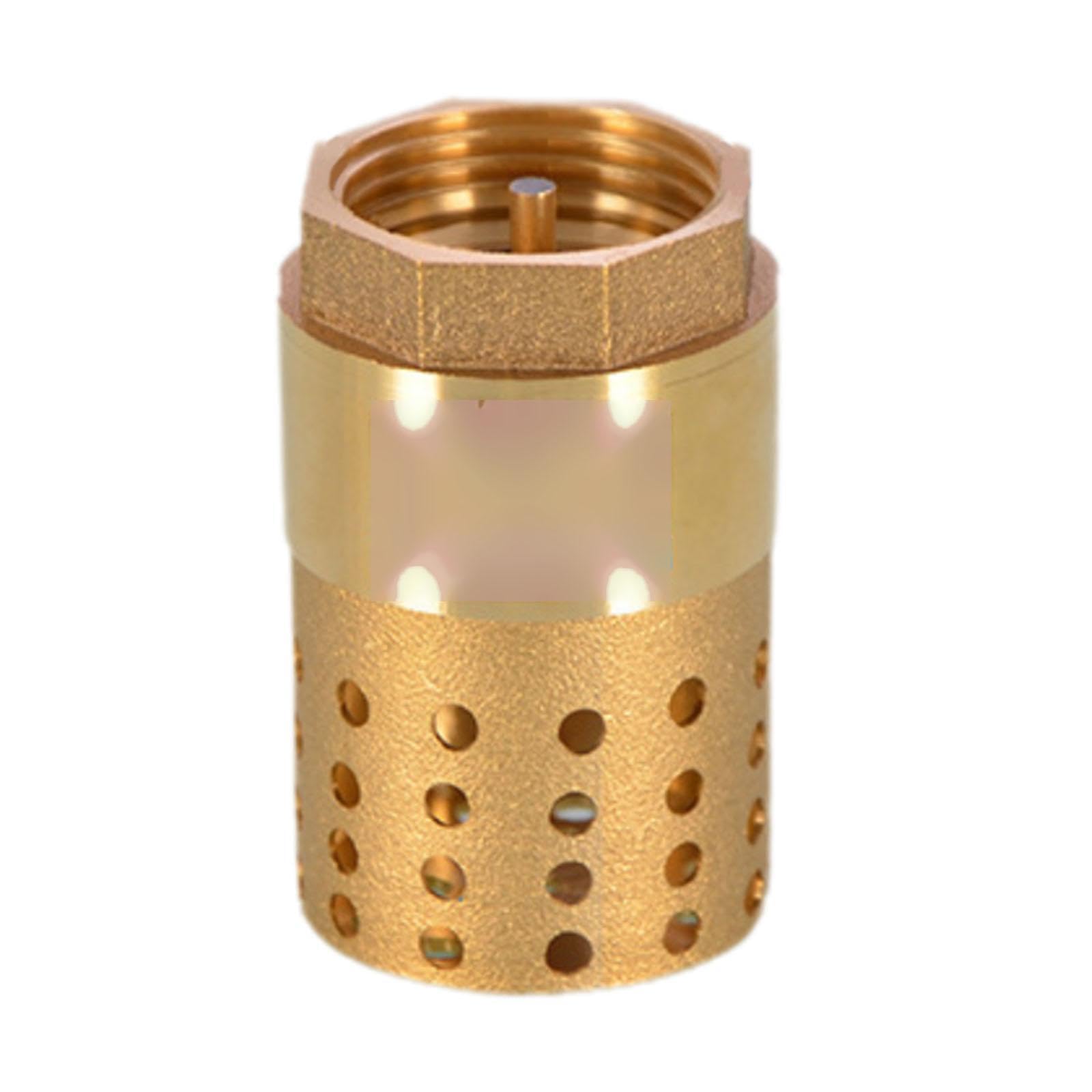PIXZCSA Pump Primed Brass Foot Valve Strainer Filter Maintains Pump Efficiency Prevents Backflow Foot Valve is Made Brass and Steel Materials Check Maintains, Golden, DN25 with Holes