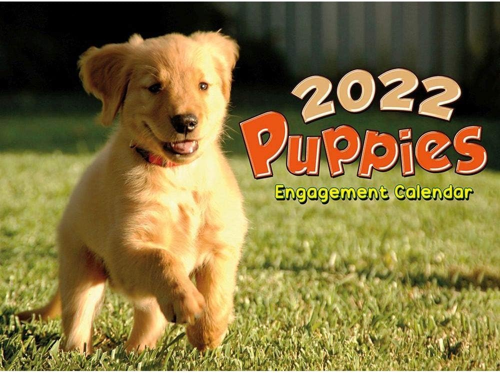 SmithSouthwestern, Puppies 2022 Wall Calendar Office