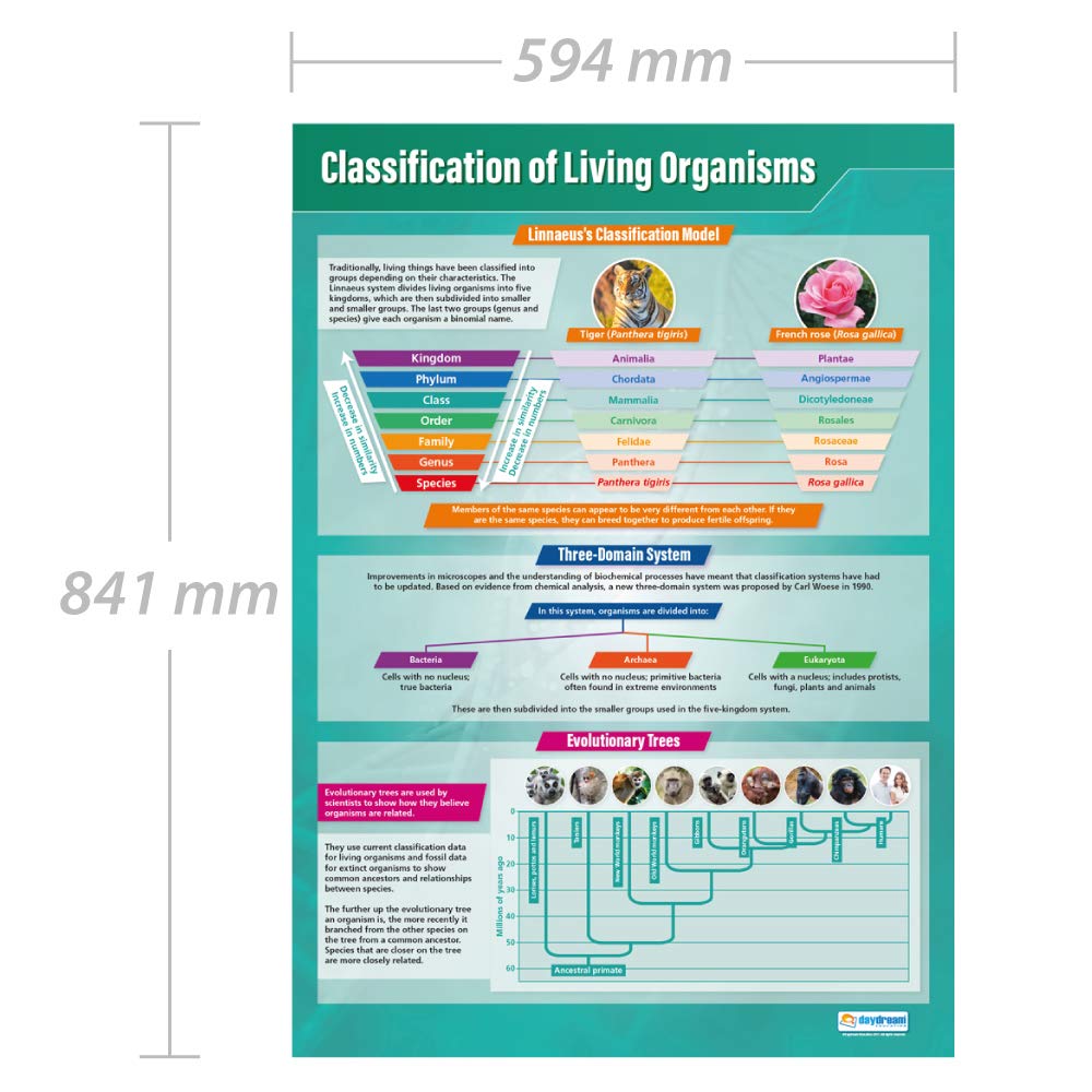 Buy Classification of Living Organisms | Science Posters | Gloss Paper ...