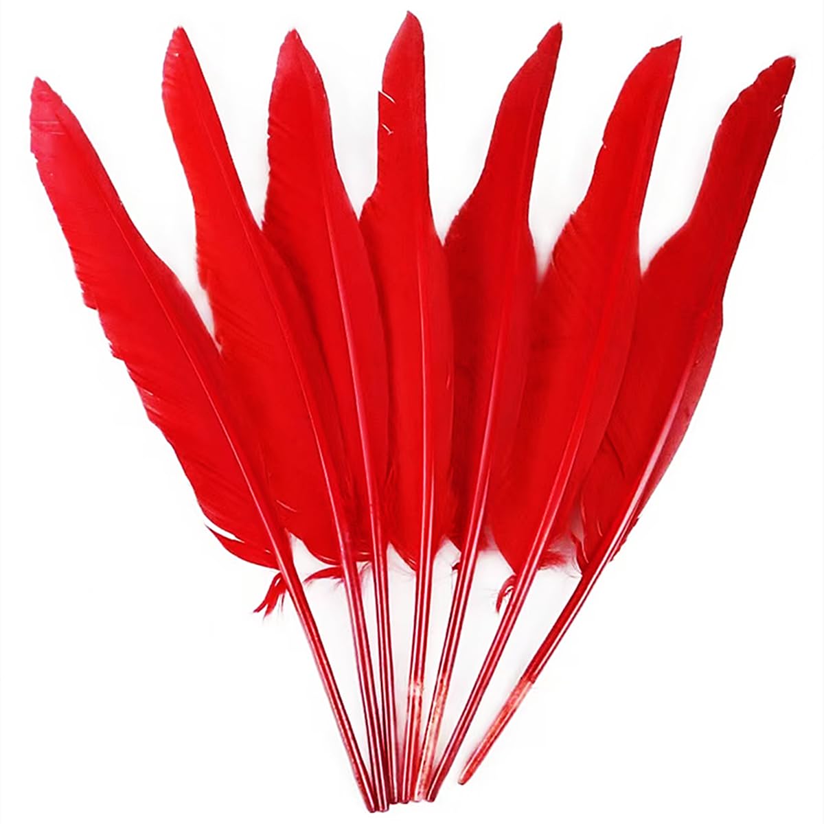 fitted lace wedding dress Amazon.com: 50pcs Red Feathers 10~12 inches,Beautiful Bulk Long Feather for  Crafts（26-31CM）,Big Size Bilateral Natural Goose Feather,for Wedding Dress  and Party Decoration,DIY Fabricating Handicraft Article(Red) : Arts, Crafts  & Sewing