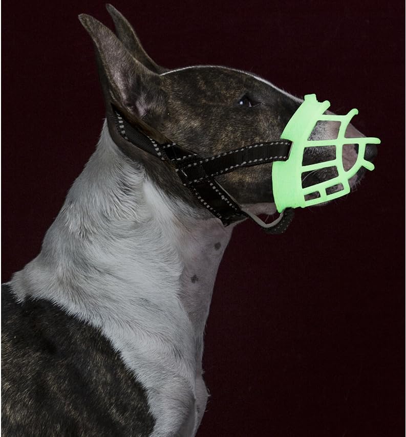 SZPENGC Bozal para perro, que brilla en la oscuridad, comodidad de seguridad, tamaño ajustable 11.8-13.4 para perros de tamaño mediano, transpirable, resistente y ligero