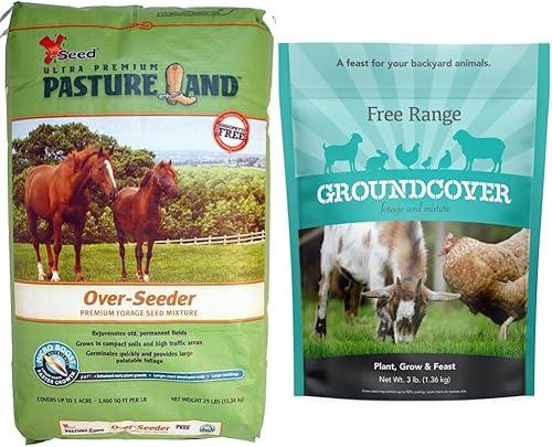 X-Seed 440FS0021UCT185 Semillas de forraje de pasto, 25 libras, mezcla de semillas de forraje de cobertura de tierra verde y Barenbrug ideal para