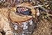 The Original Bushcraft Grill MINI - Welded Stainless Steel High Strength Mesh (Campfire Rated) - Expedition Research LLC, USA