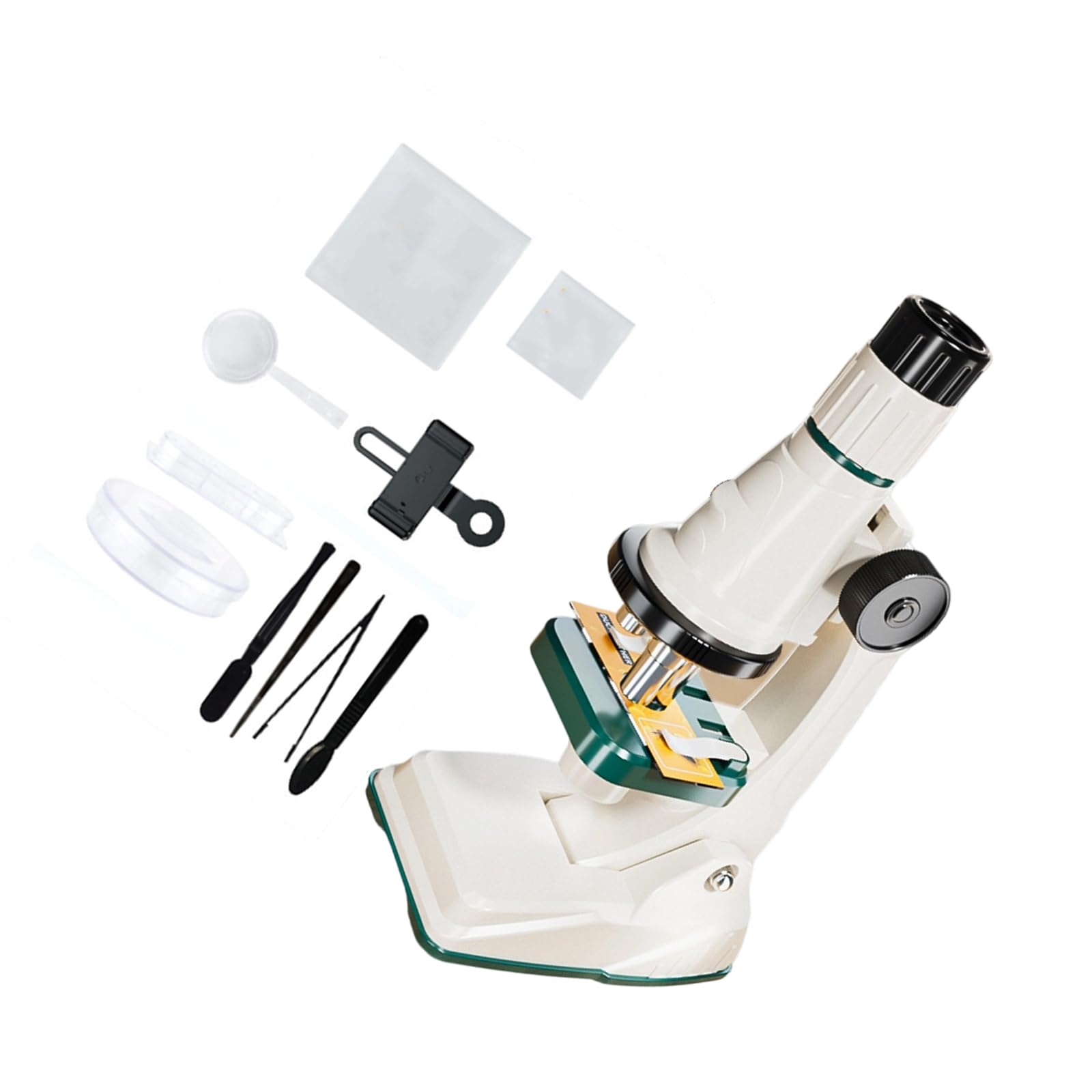 Set microscopio pratico per studenti scienziati migliora le capacità osservazione Regalo educativo sicuro Giocattolo per la scoperta scientifica dei bambini